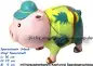 Preview: Sparschwein Urlaub Vinyl bunt A